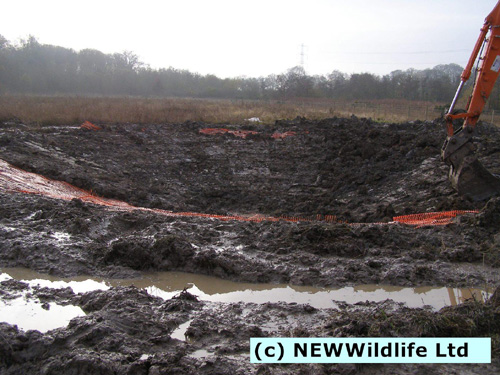 Construct of new pond in Maes Y Grug nature reserve