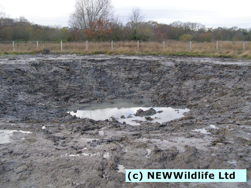 Construct of new pond in Maes Y Grug nature reserve