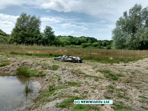 Construct of new pond in Maes Y Grug nature reserve