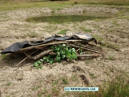 Construct of new pond in Maes Y Grug nature reserve