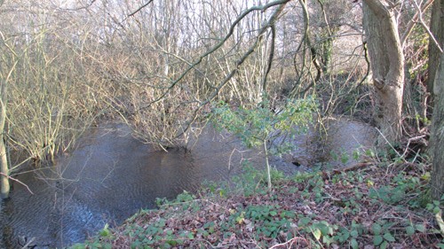 Buckley Lower Common Ponds before improvement