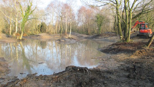 Buckley Lower Common Ponds during improvement