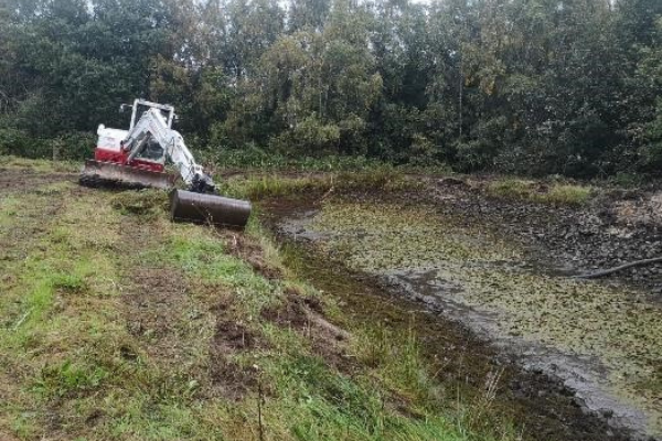 Brookhill Pond site restoration project. Buckley. Digger clears the ground.