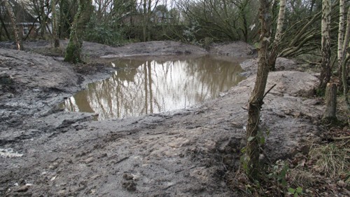 Buckley Lower Common Ponds after improvement