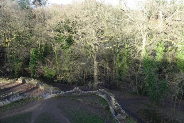 View from Ewloe Castle in Wepre Park, Connah's Quay