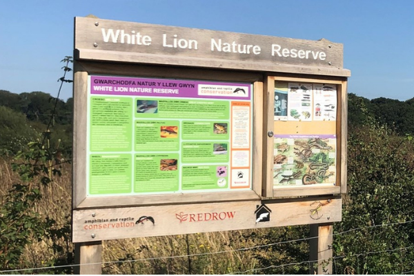 View of the new White Lion Nature Reserve sign in Penymynydd