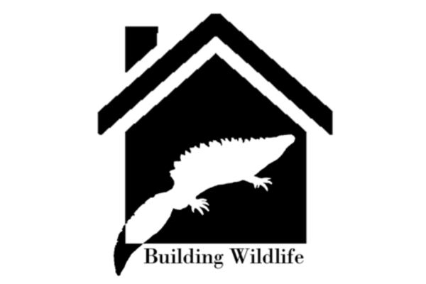 Building Wildlife logo. 600 pixels x 400 pixels.